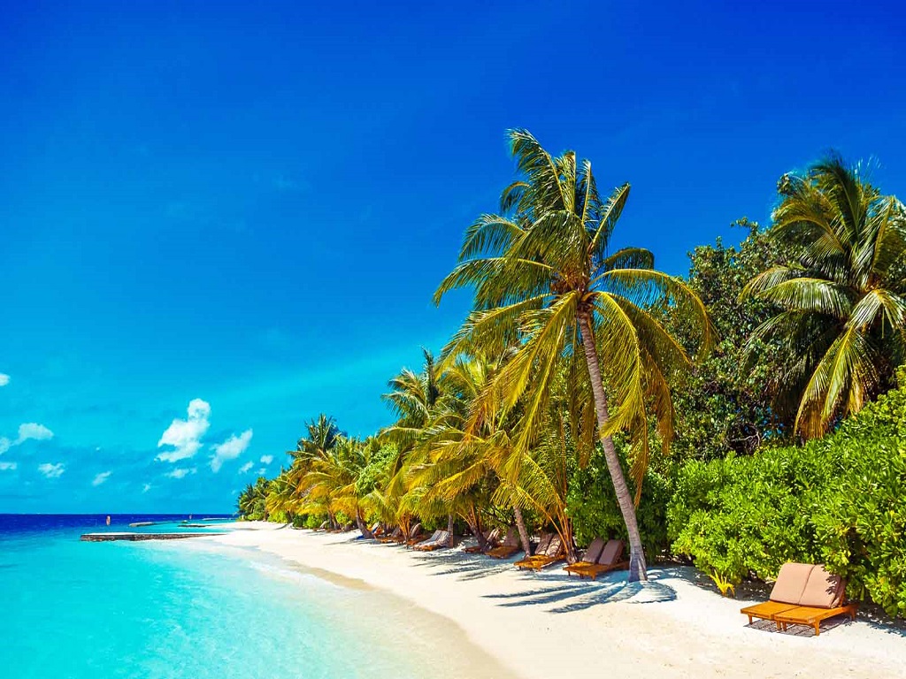 TUR NË DUBAI DHE ABU DHABI – PLAZH NË MALDIVE